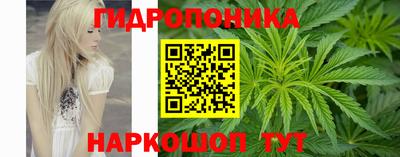 крисы Краснознаменск