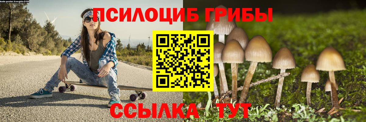 Псилоцибиновые грибы мухоморы Кашира